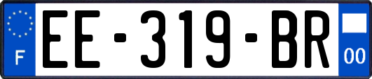 EE-319-BR