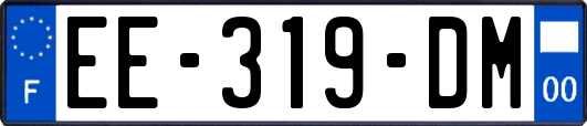 EE-319-DM