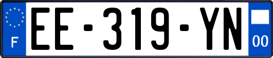 EE-319-YN