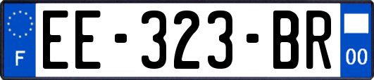 EE-323-BR