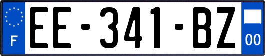 EE-341-BZ