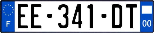 EE-341-DT