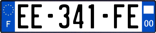 EE-341-FE