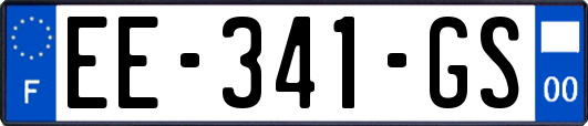 EE-341-GS