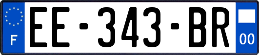 EE-343-BR