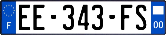 EE-343-FS