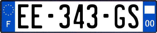 EE-343-GS