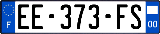 EE-373-FS