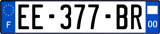 EE-377-BR