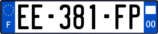 EE-381-FP