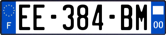 EE-384-BM