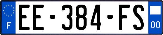 EE-384-FS