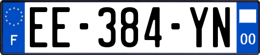 EE-384-YN