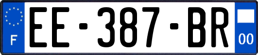 EE-387-BR