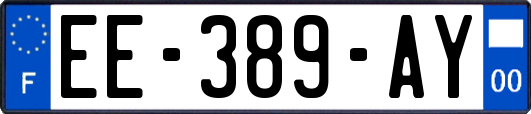 EE-389-AY