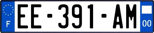 EE-391-AM