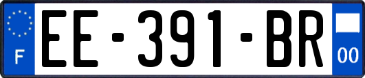 EE-391-BR