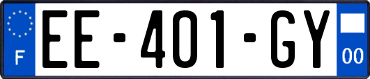 EE-401-GY