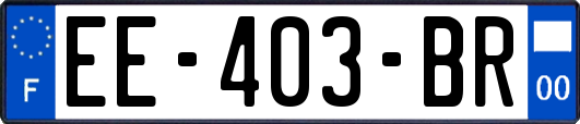 EE-403-BR