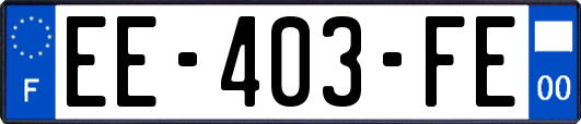 EE-403-FE