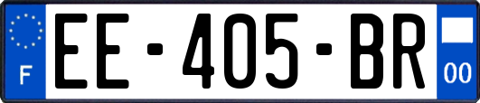 EE-405-BR