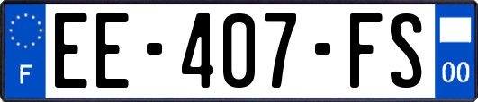 EE-407-FS