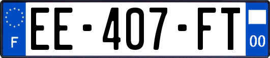 EE-407-FT