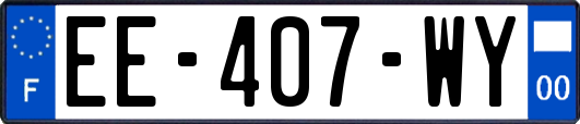 EE-407-WY