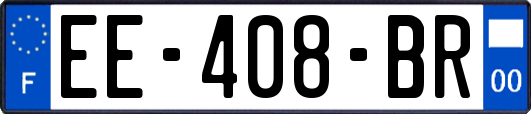 EE-408-BR