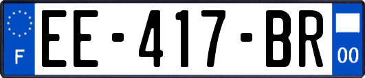 EE-417-BR