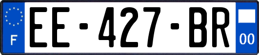 EE-427-BR