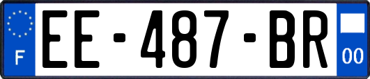 EE-487-BR