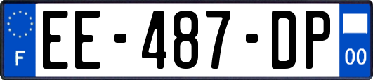 EE-487-DP