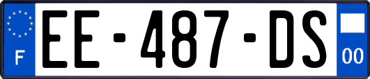 EE-487-DS