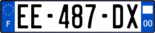 EE-487-DX