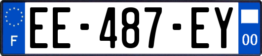 EE-487-EY