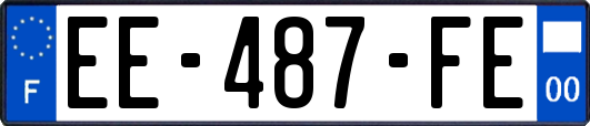 EE-487-FE