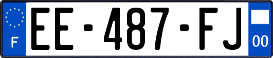 EE-487-FJ