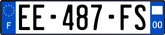 EE-487-FS