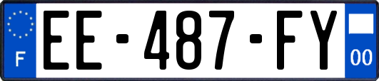 EE-487-FY