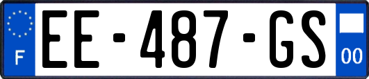 EE-487-GS