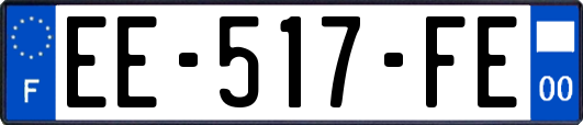 EE-517-FE