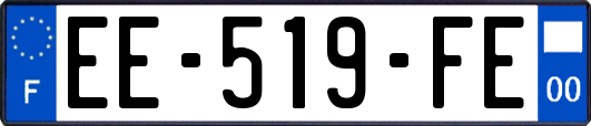 EE-519-FE