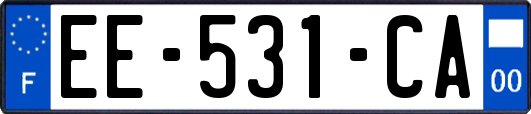 EE-531-CA