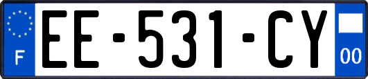 EE-531-CY