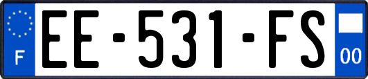 EE-531-FS