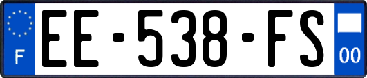 EE-538-FS