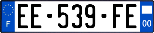 EE-539-FE