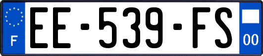 EE-539-FS