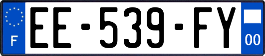 EE-539-FY